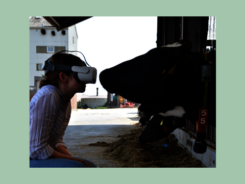 Frau mit VR-Brille und Kuh