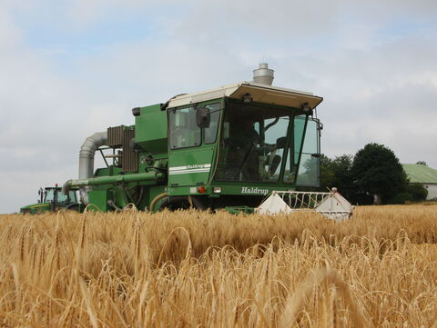 Ein Mähdrescher im Gerstenfeld 