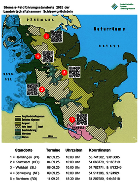 Silomaisführungen 