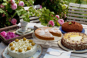 Torten schmecken immer 