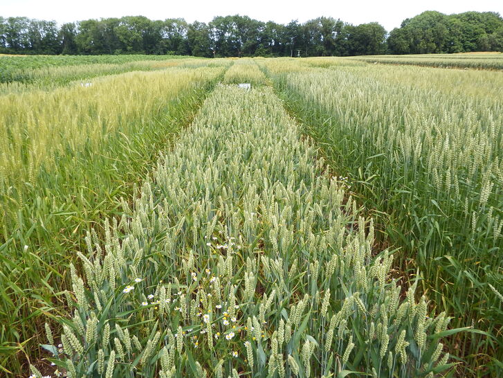 Ökologischer Landbau