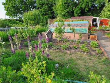 Garten 