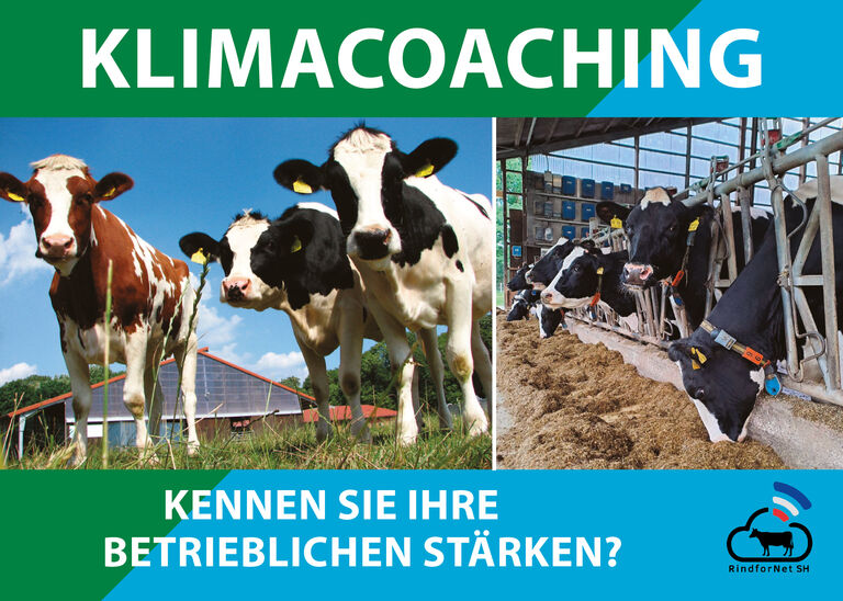 Klimacoaching für Milchviehbetriebe