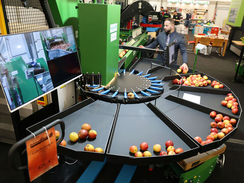 Obst wird sortiert 