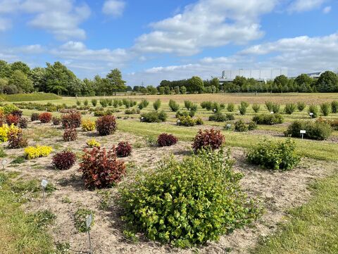 Versuchsfeld Gartenbau Ellerhoop