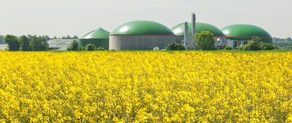 Biogas