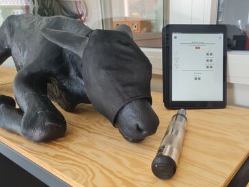 Lernstation mit künstlichem Kalb