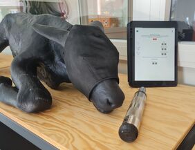 Lernstation mit künstlichem Kalb