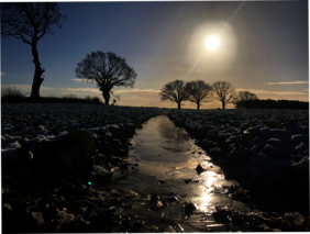 Acker im Frööäöl.öl-öööööööööööööööööööööööööö++++++++++++++++++++++++++++++