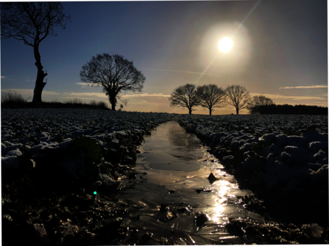 Acker im Frööäöl.öl-öööööööööööööööööööööööööö++++++++++++++++++++++++++++++