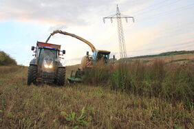 Ernte auf einem Feld