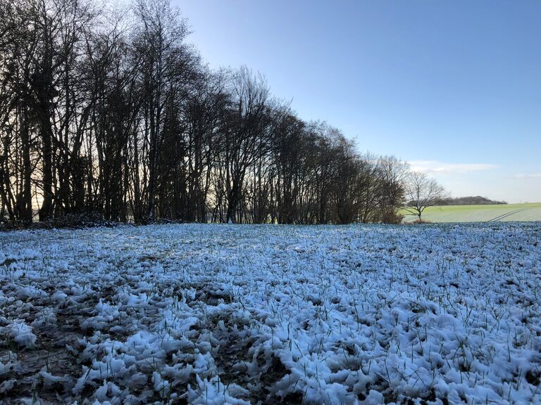 Ergebnisse Nitratmessdienst Teil 1 liegen vor ...