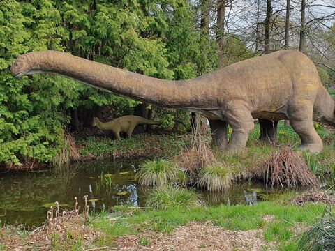 Das Modell eines Dinosauriers