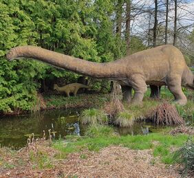 Das Modell eines Dinosauriers