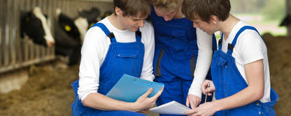 Young Trainees At Cattle Farm