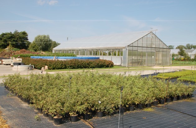 Versuche Kompetenzzentrum Baumschule Landwirtschaftskammer Schleswig